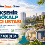 Başakşehir Ziya Gökalp Boyacı Ustası