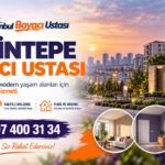 Şahintepe Boyacı Ustası