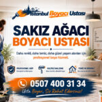 Sakızağacı Boyacı Ustası