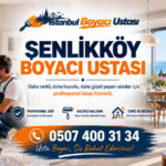 Şenlikköy Boyacı Ustası