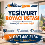 Yeşilyurt Boyacı Ustası