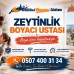 Zeytinlik Boyacı Ustası
